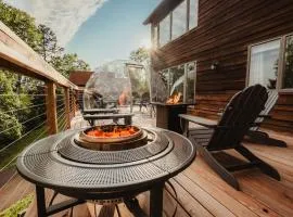 Lake View, Outdoor Pizza Oven, Fireplace