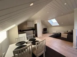 Elm Guesthouse