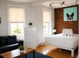 Charming Studio in Boston Brownstone, C.Ave#5