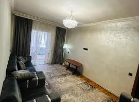 Goris Central House