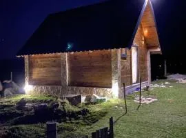 Javorje Eco Cabin