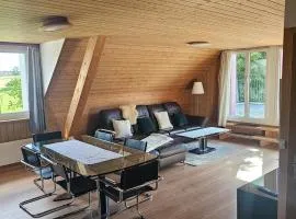Elegant with sauna, pool and mountain view