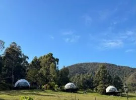 Glamping Store