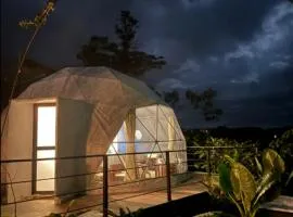 Morpho Glamping