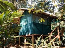 Río Agujitas Rainforest Eco Lodge