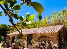 Authentique bergerie en pierre avec jacuzzi, piscine et massages La grange des amoureux