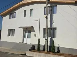 Casa JIANU