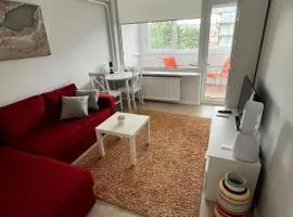 Apartamentai Vanagupės banga
