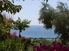 Villa Iva