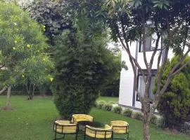 Mist Stay Inn