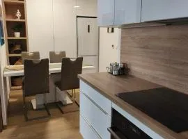 Apartment with parking in the city center
