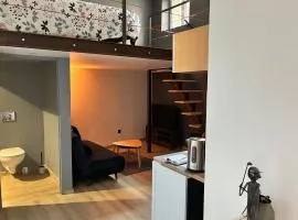 Studio cosy 2 personnes Épinal Gare