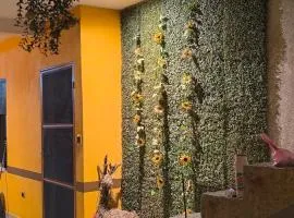 La Casa Amarilla