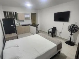 Modern and cozy studio apartment 103