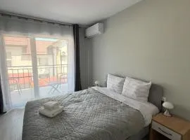Casa Sabo Sannicoara Cluj Airport Area 2 room gray apartment
