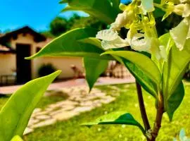 Agriturismo Yucca