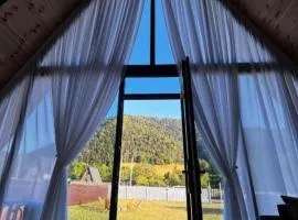 Sunshine Borjomi