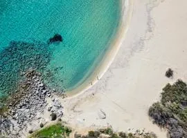 Bioloco - sea, nature, pool