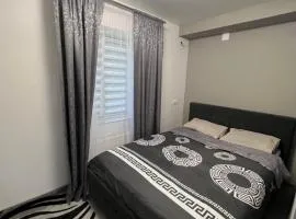 APARTAMENT Edinet rental