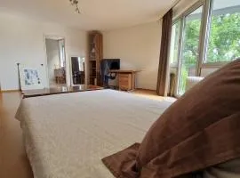 Nice apartment in central Kaiserslautern