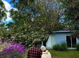 Tiny House Entre Las Sierras