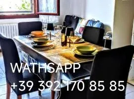 APARTMENT 5 BEDS Kitchen BOLOGNA