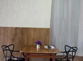 Apartamento Centro Cívico