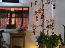 Casa Vielma