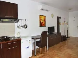 Apartments Despot Zaostrog RY