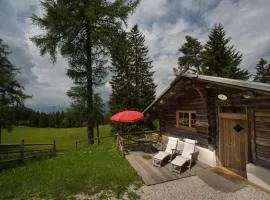 Berghütte Sommerstall