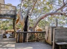 Coastal Wilderness Retreat