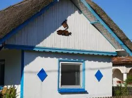 Casa 9