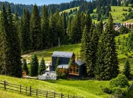 Savanna Mountain forest resort