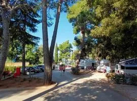 Centinera Camping