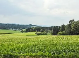 Apartment Rachel mit herrlichem Ausblick by Interhome