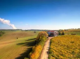 Vinum Vivo winery