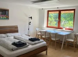 Ferienwohnung - Monteurwohnung in schönem Fachwerkhaus