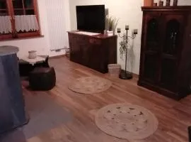 furnished house TLA 3 BR, 3 bath