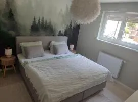 Moderne 90 m2 Wohnung nahe Straẞburg & Europa-Park