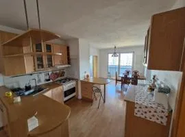 LV Central Apartment