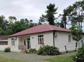 Seaside Shekvetili