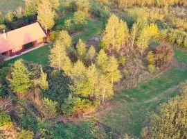 Plantacja Wierzby Agroturystyka