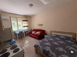 Martinovic Apartments