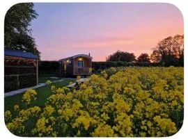The Shepherds Hut at Foxglove Lodge