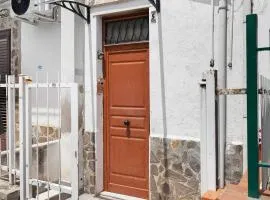 The Nice Bright House