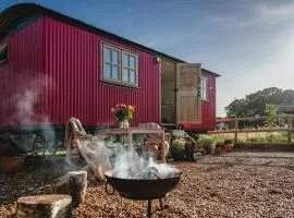 Slowhayes Nature Retreat in the New Forest