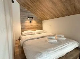 ApartPoltava Panoramic LOFT Дворівнева мансарда з виходом на терасу