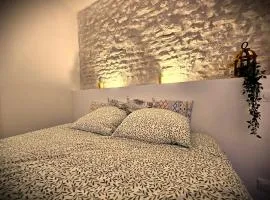 Studio Iris-Maison de tanneurs climatisée, à 5 min du Zoo de Beauval
