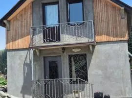 Cozy Mountain Chalet Bakhmaro