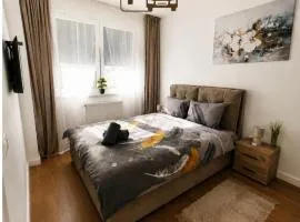 Apartment VIP